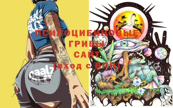 винт Алзамай