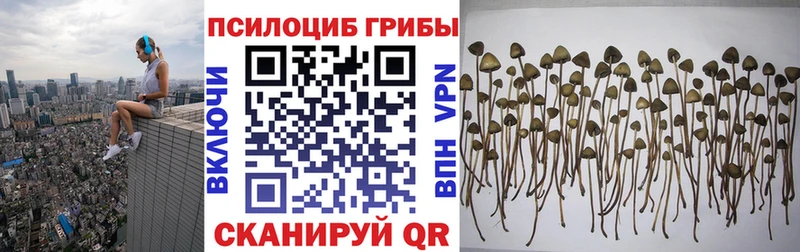 Галлюциногенные грибы прущие грибы  наркотики  OMG tor  Анжеро-Судженск 
