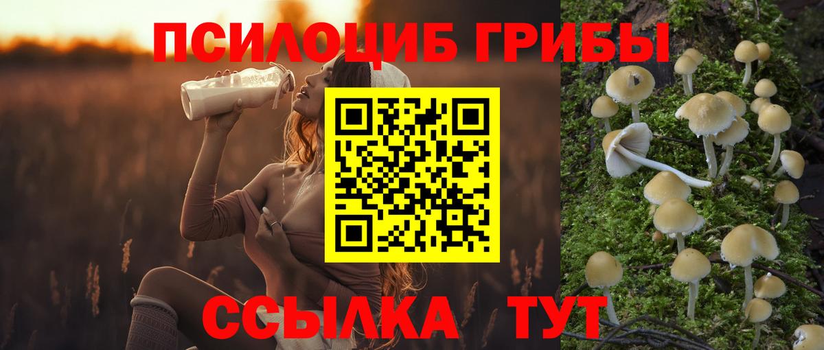 Псилоцибиновые грибы мухоморы  Вход с VPN  Анжеро-Судженск 
